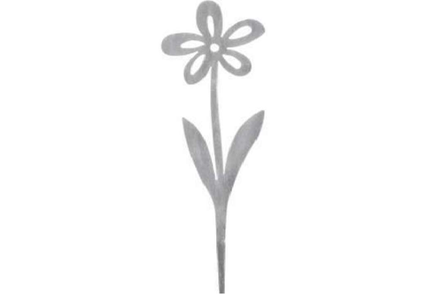 Metallgraue Blume mit fünf Blütenblättern.