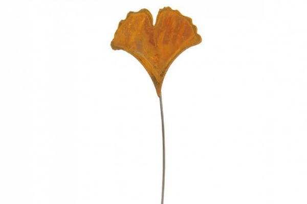 Dekoracja ogrodowa na piku Miłorząb Ginkgo Biloba 60 cm