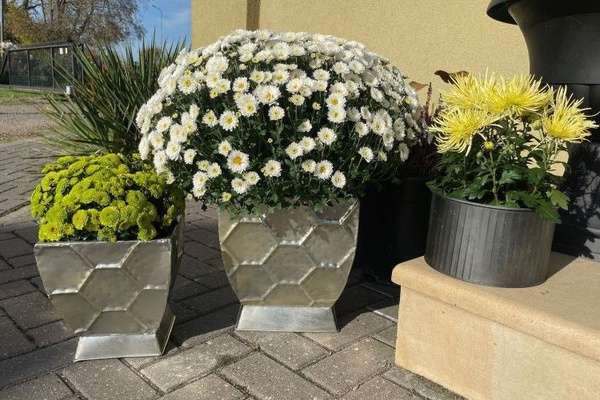 Doniczka geometryczna M