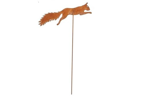 Eichhörnchen Rost läuft