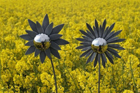 Dekoration für den Garten Blume grau Nr.2 mit schmalen Blütenblättern.