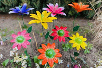Blume GERBER orange