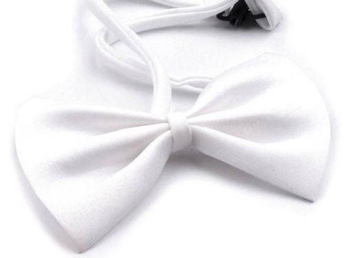 Klassische Herrenfliege