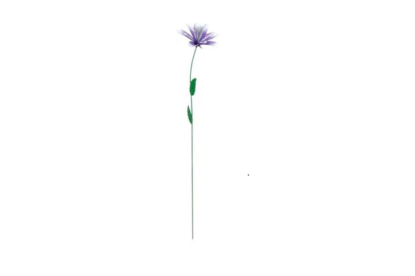 Lila Blume.