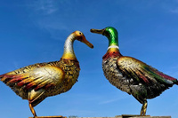 Gartendekoration goldene ENTE