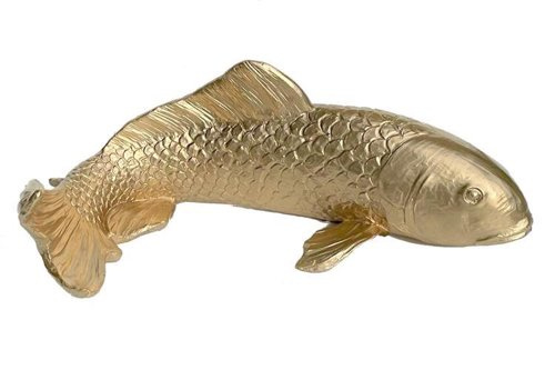 Goldfisch Karpfen Koi