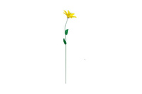 Gelbe Blume.