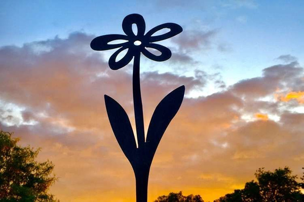 Metallgraue Blume mit fünf Blütenblättern.