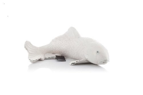 Ryba biała Karp Koi biały