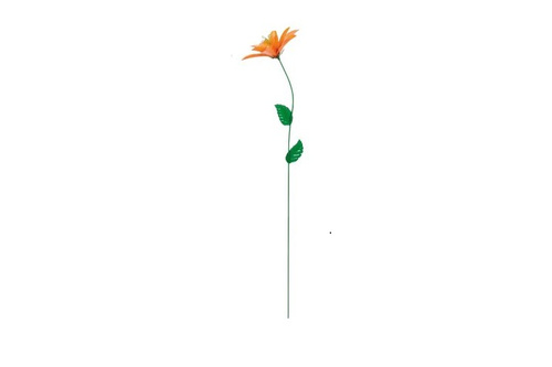 Orange Blume.